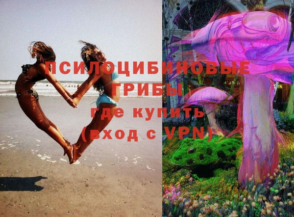 крисы Абдулино