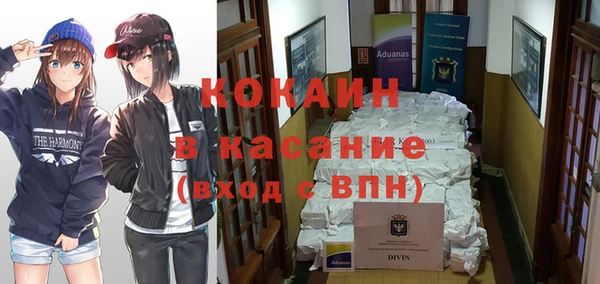 дживик Абинск